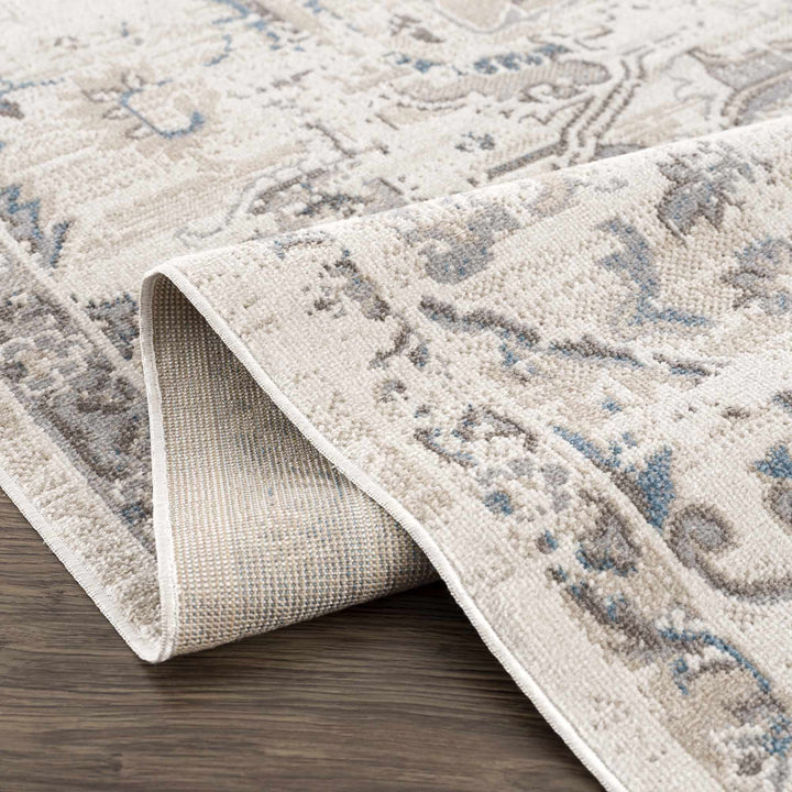 Beige and Taupe Traditional Medallion washable area rug - The Rug Decor