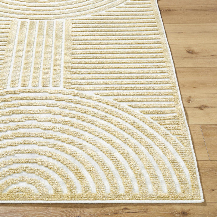 Beige Contemporary Style Washable Area Rug - The Rug Decor