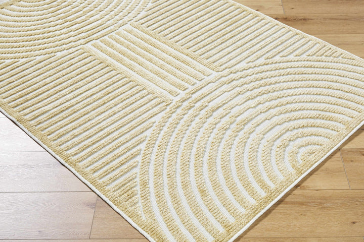 Beige Contemporary Style Washable Area Rug - The Rug Decor