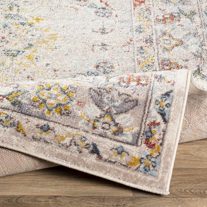 Beige, Gray and Ivory Traditional Heriz Medallion Multi size area rug - The Rug Decor