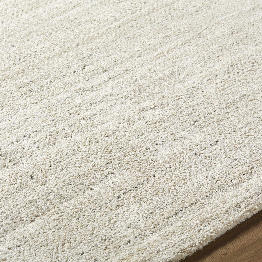 Beige Solid Contemporary Style Machine Woven Area Rug - The Rug Decor