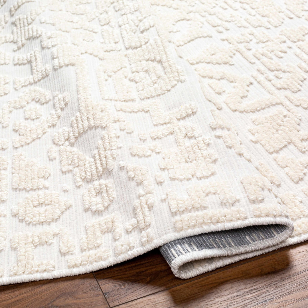 Beige Texture Traditional Medallion washable area Rug - The Rug Decor