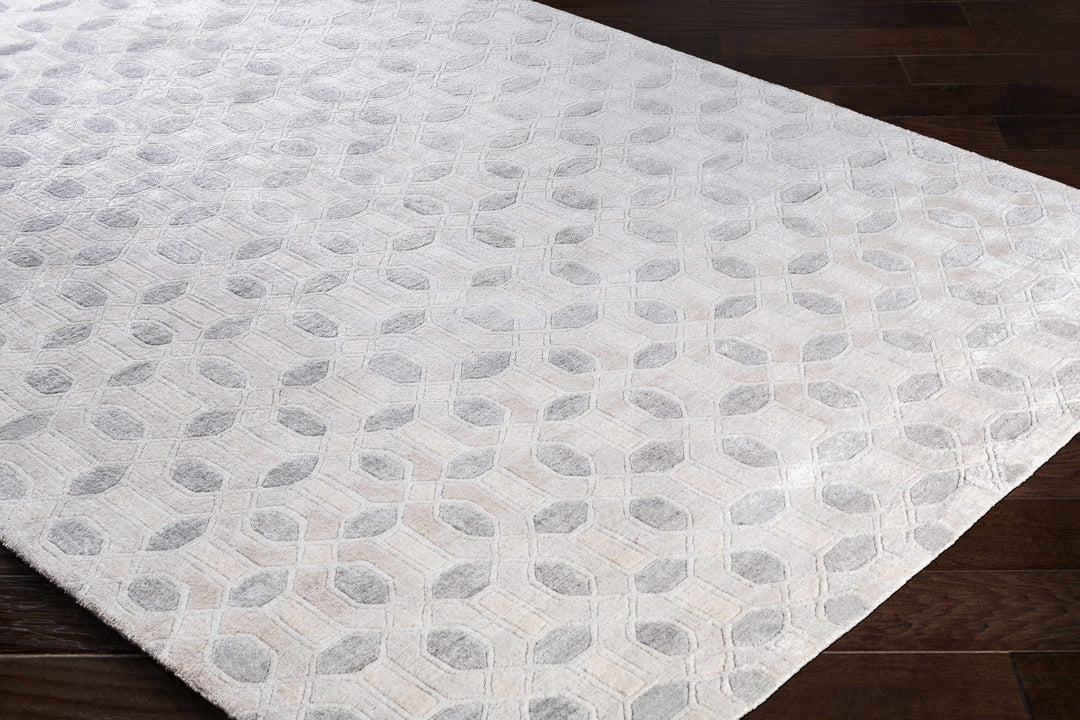Belzoni Contemporary Style Ivory And Gray Hand Knotted Carpet