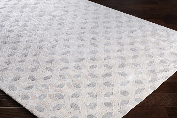 Belzoni Contemporary Style Ivory And Gray Hand Knotted Carpet
