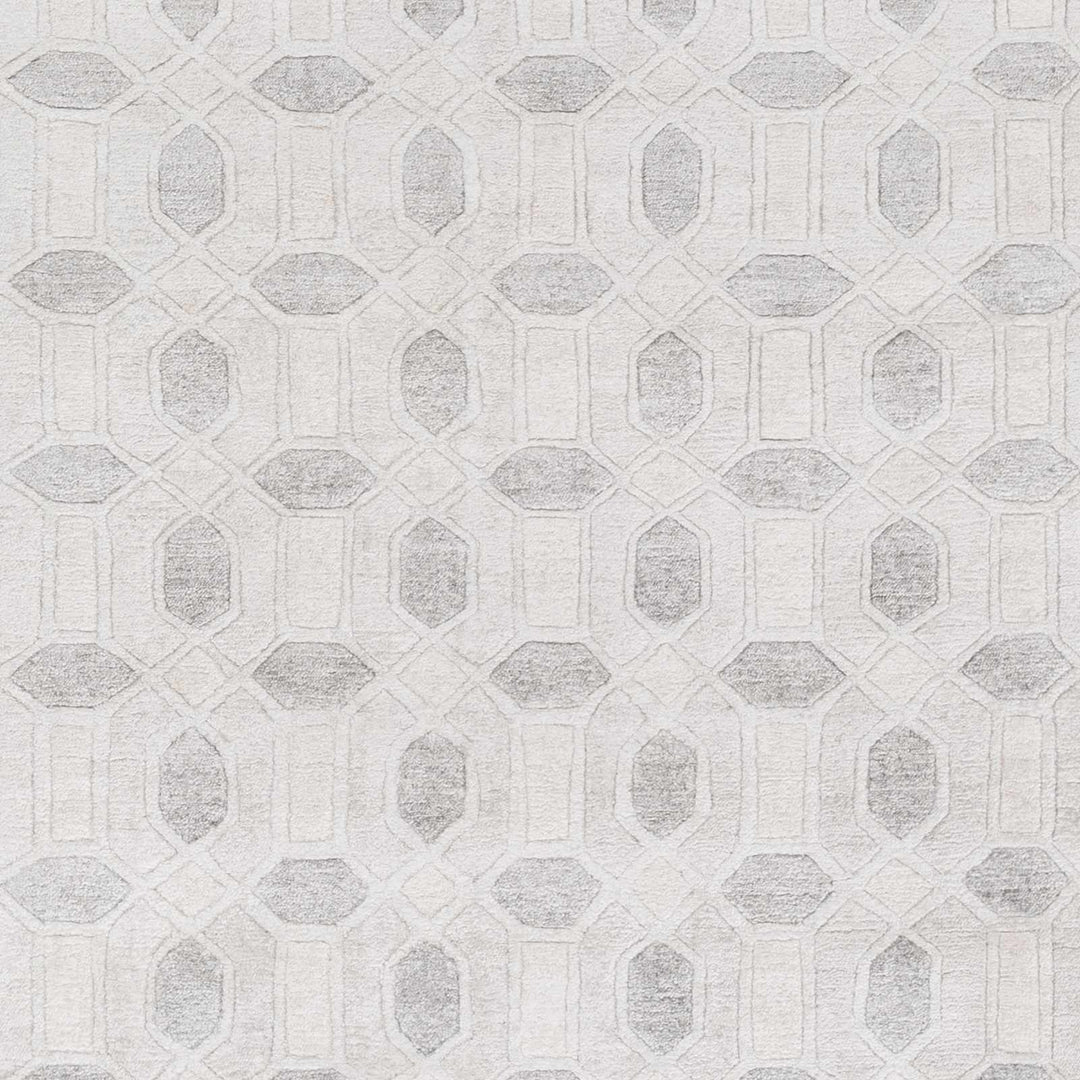 Belzoni Contemporary Style Ivory And Gray Hand Knotted Carpet