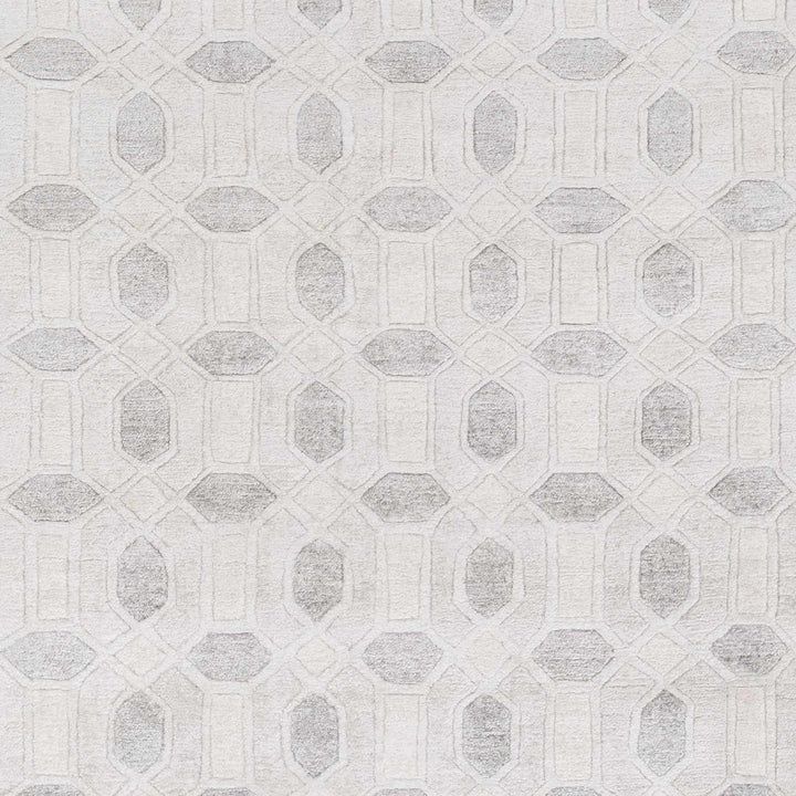 Belzoni Contemporary Style Ivory And Gray Hand Knotted Carpet