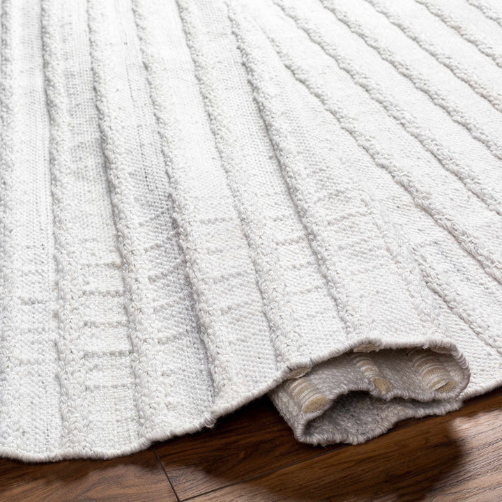 Benek Modern Stripe Pattern Silver Hand Woven Area Rug - The Rug Decor