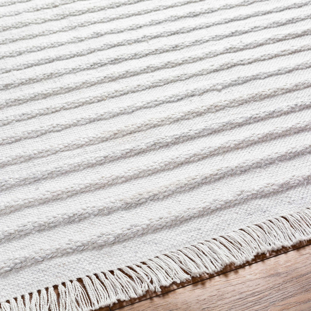 Benek Modern Stripe Pattern Silver Hand Woven Area Rug - The Rug Decor