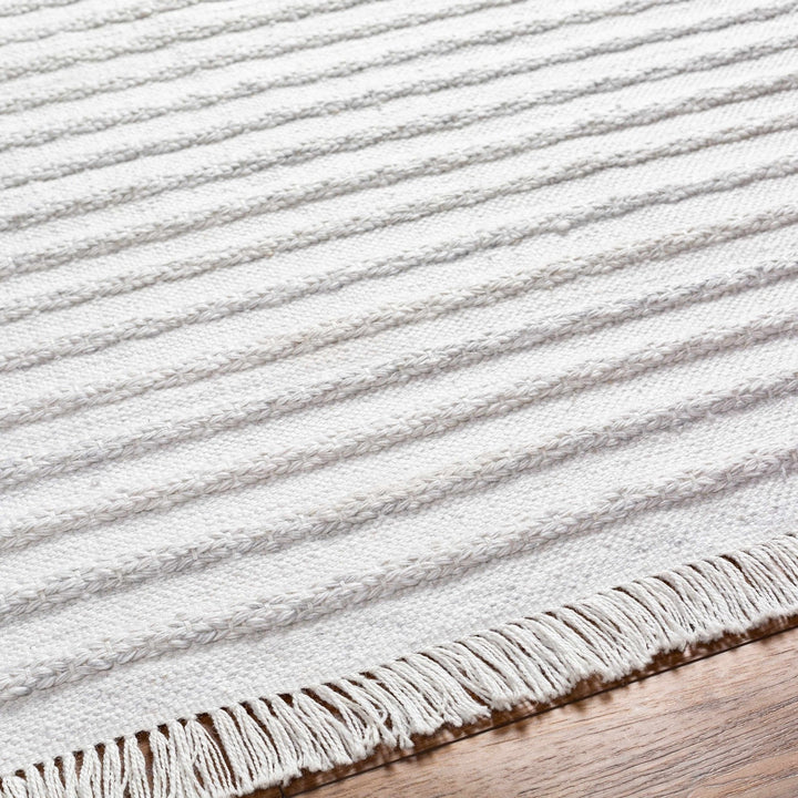 Benek Modern Stripe Pattern Silver Hand Woven Area Rug - The Rug Decor