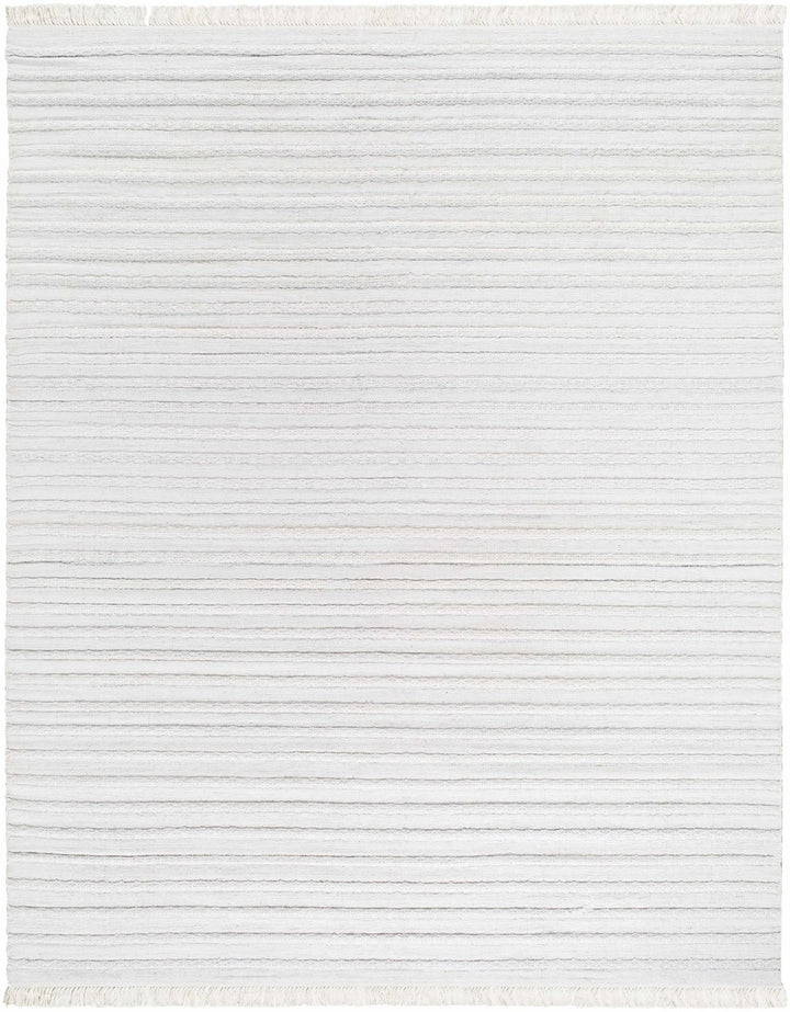 Benek Modern Stripe Pattern Silver Hand Woven Area Rug - The Rug Decor