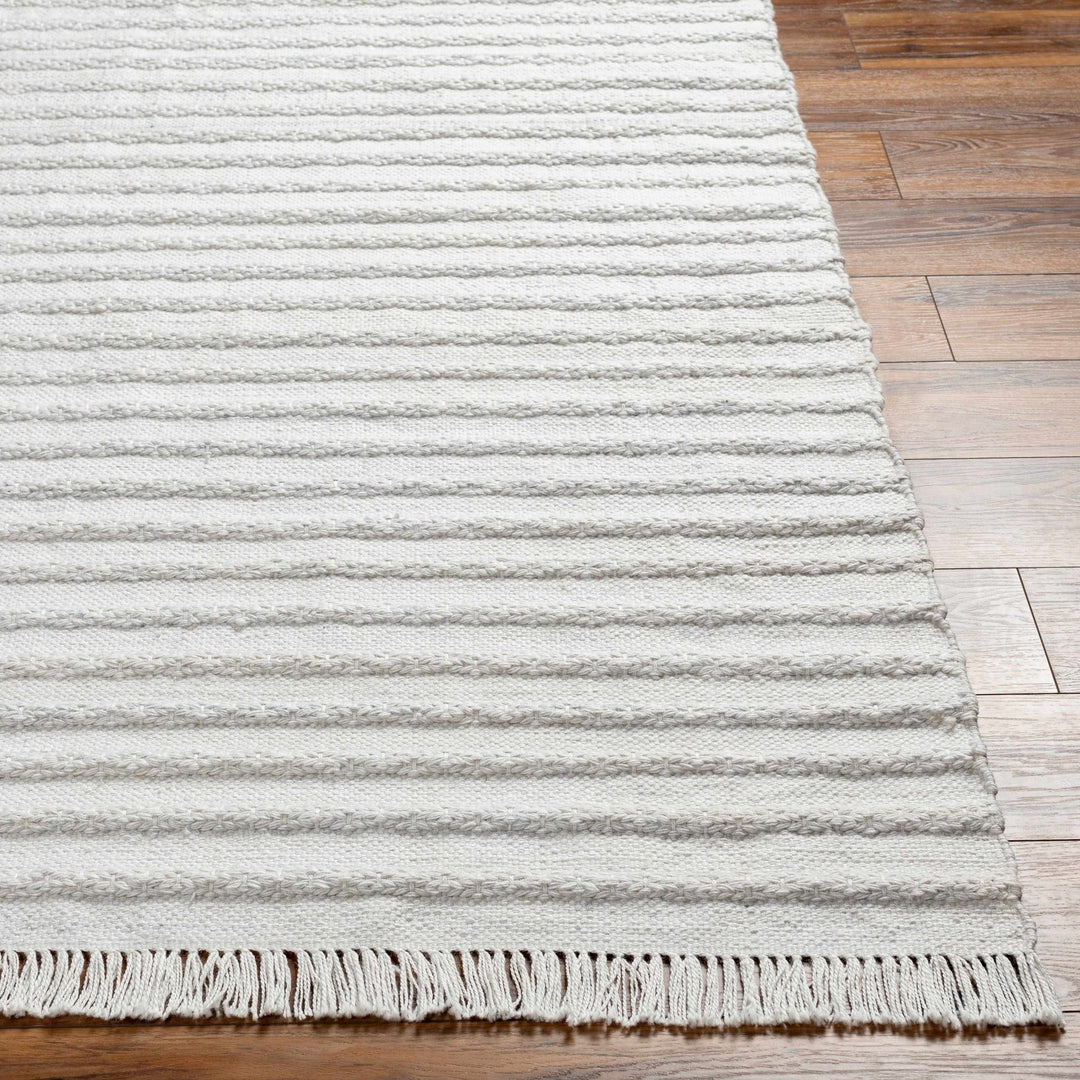 Benek Modern Stripe Pattern Silver Hand Woven Area Rug - The Rug Decor