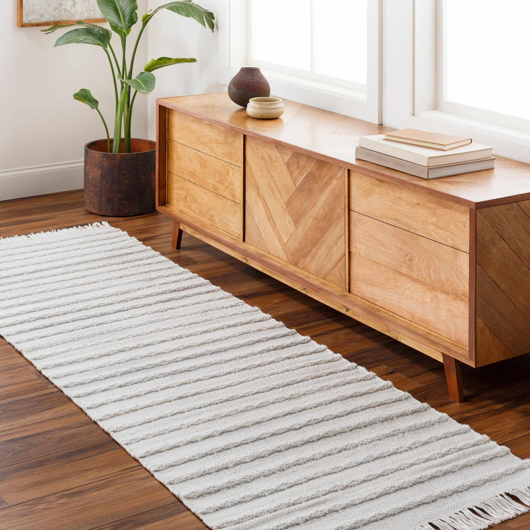 Benek Modern Stripe Pattern Silver Hand Woven Area Rug - The Rug Decor