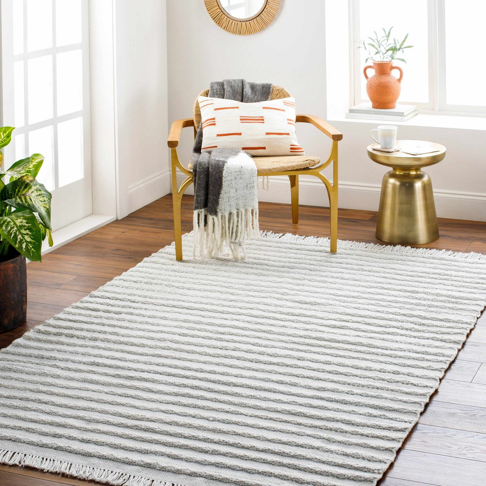 Benek Modern Stripe Pattern Silver Hand Woven Area Rug - The Rug Decor