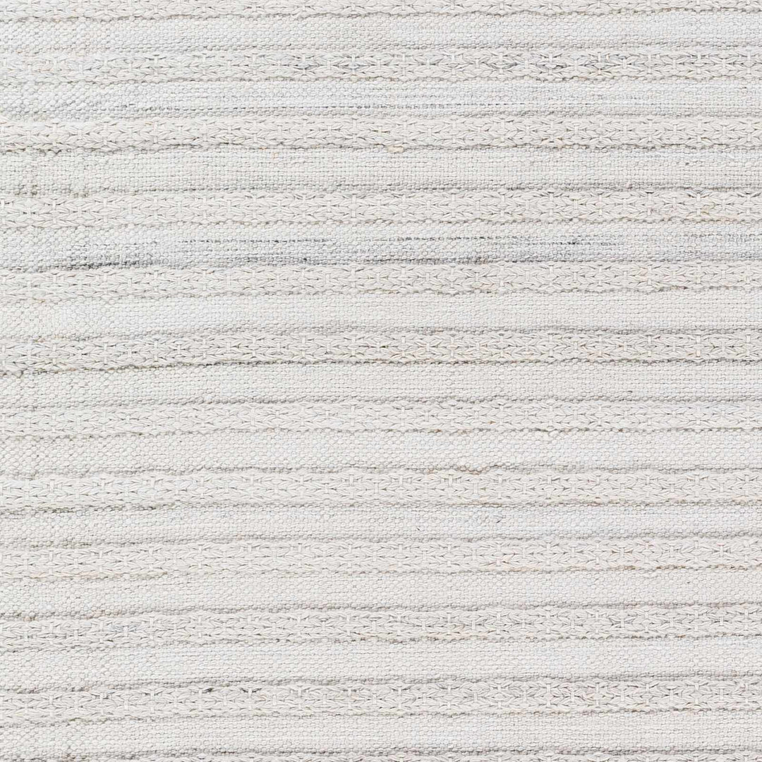 Benek Modern Stripe Pattern Silver Hand Woven Area Rug - The Rug Decor