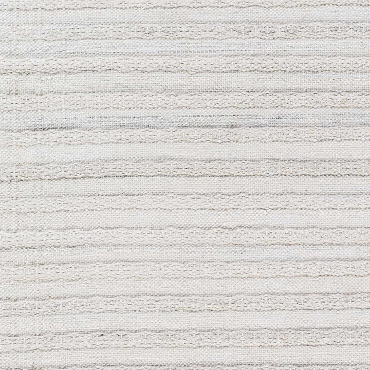 Benek Modern Stripe Pattern Silver Hand Woven Area Rug - The Rug Decor