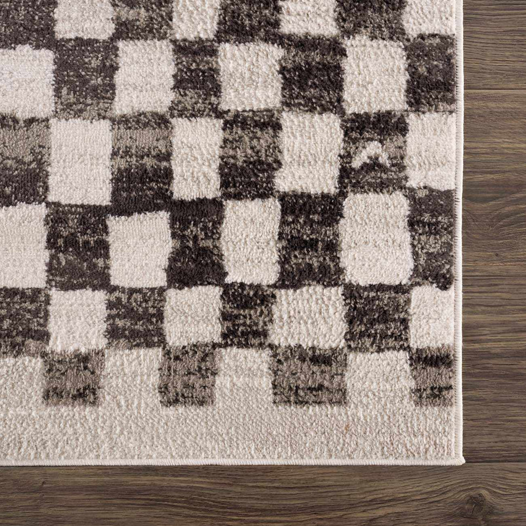 Benjy Modern Geometrical Beige And Charcoal Rug - The Rug Decor