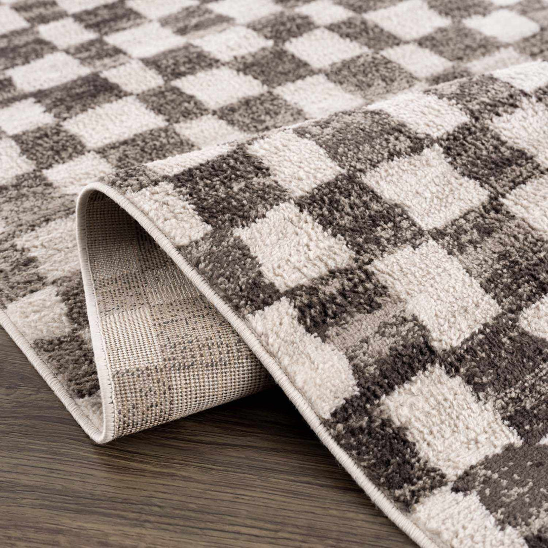 Benjy Modern Geometrical Beige And Charcoal Rug - The Rug Decor