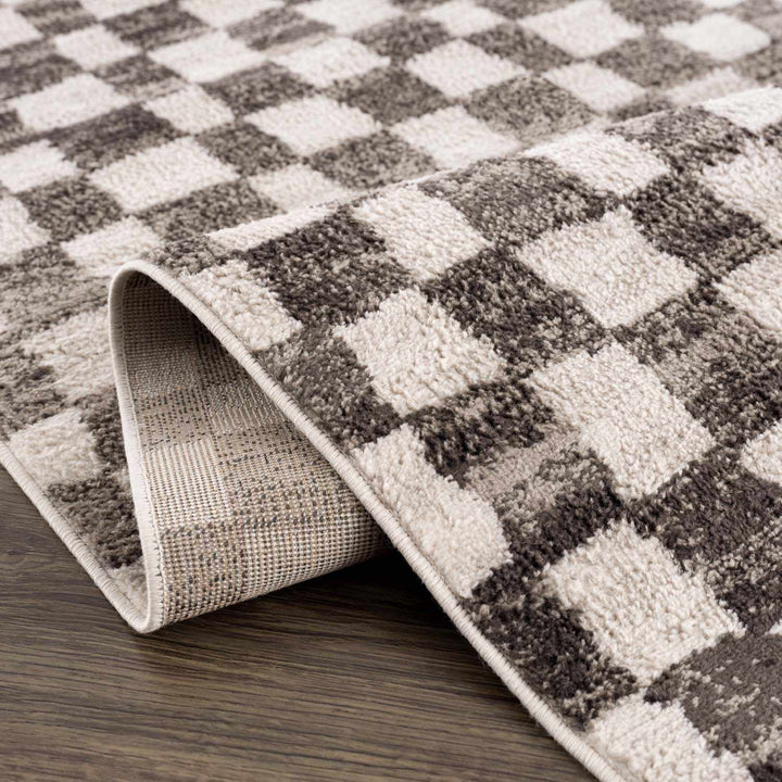 Benjy Modern Geometrical Beige And Charcoal Rug - The Rug Decor