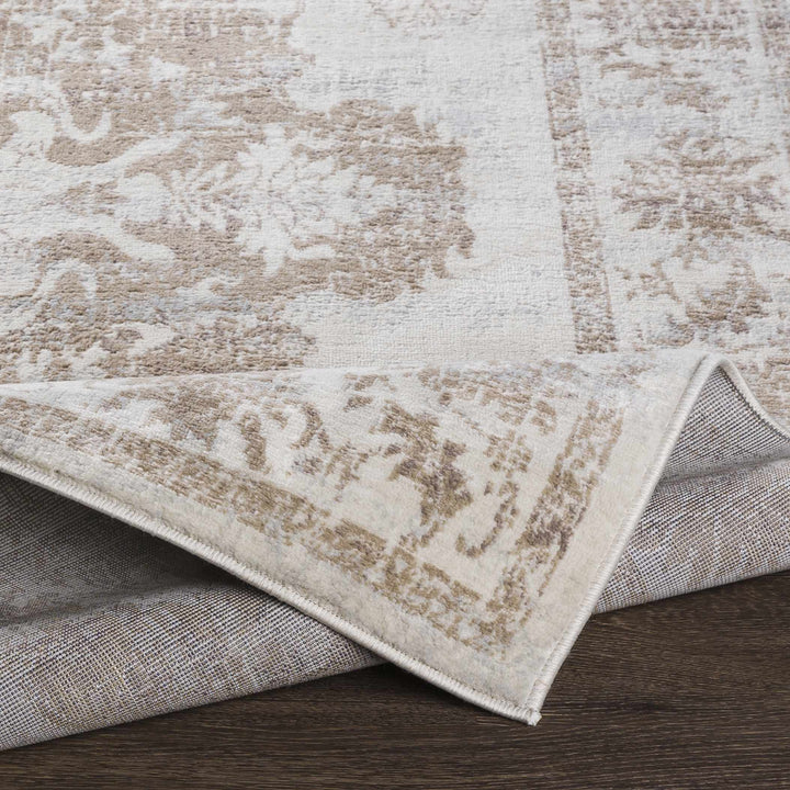 Benkelman Traditional Style Ivory And Beige Area Rug