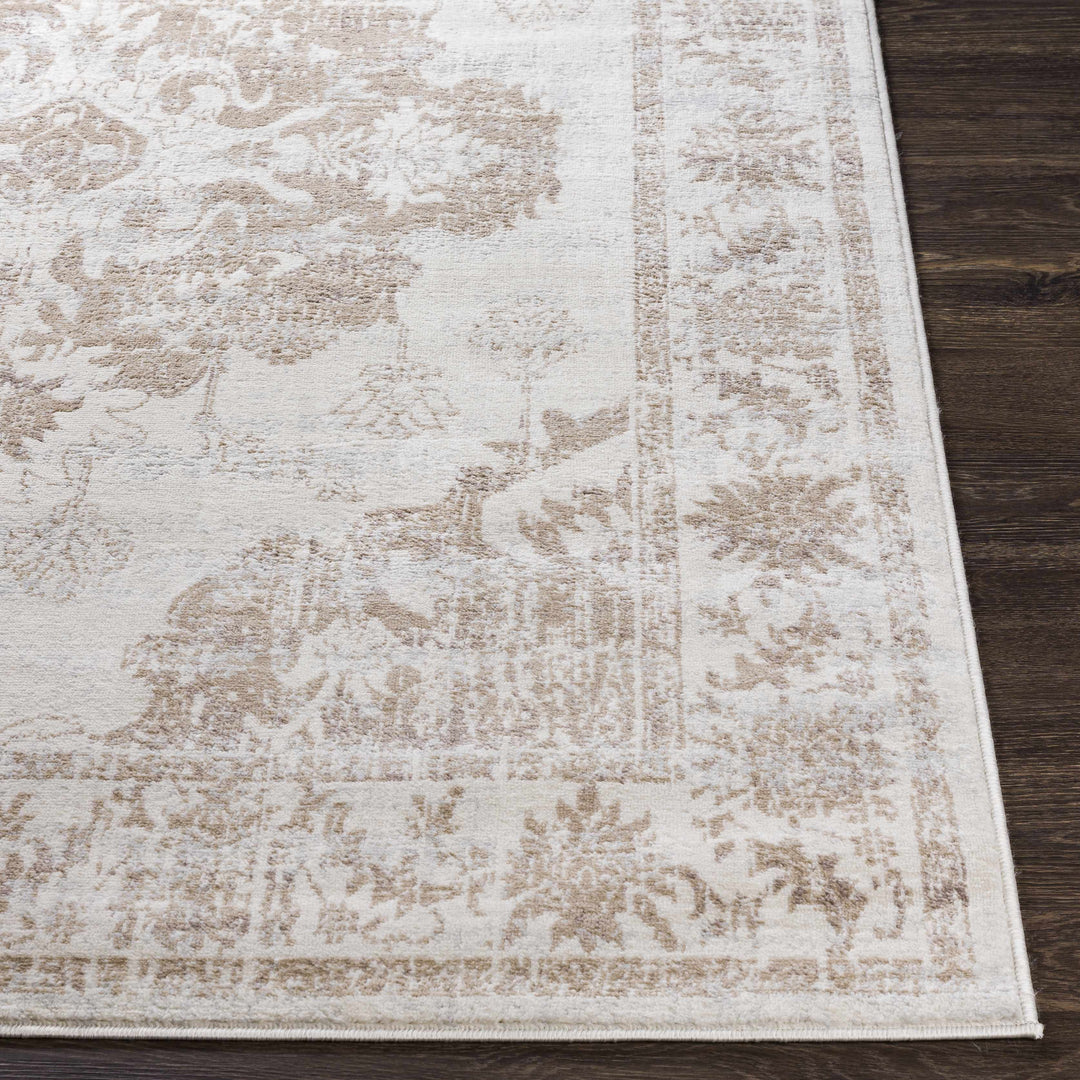 Benkelman Traditional Style Ivory And Beige Area Rug