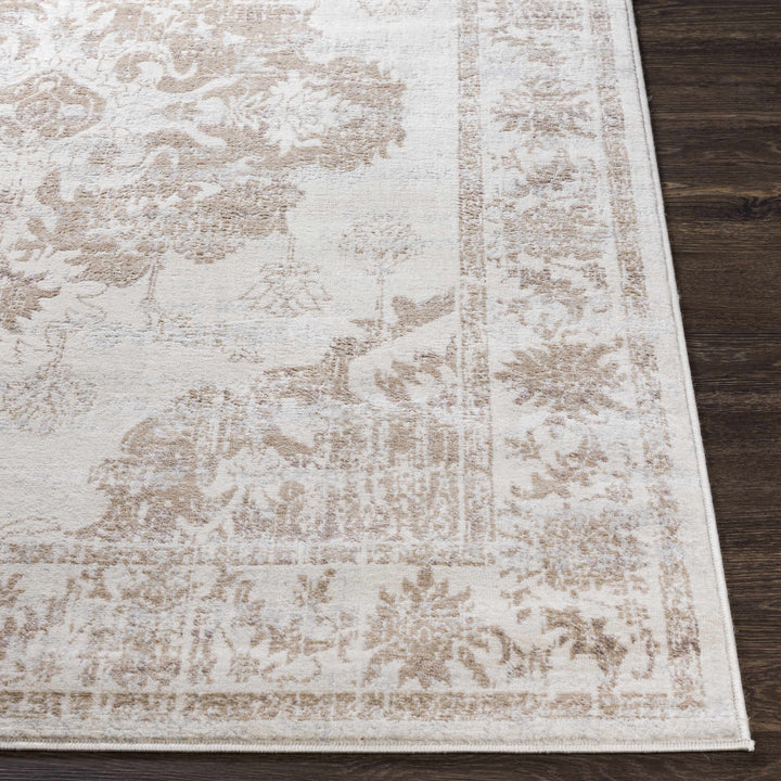 Benkelman Traditional Style Ivory And Beige Area Rug