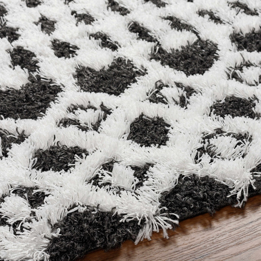 Bente Black And White Contemporary Area Rug - The Rug Decor