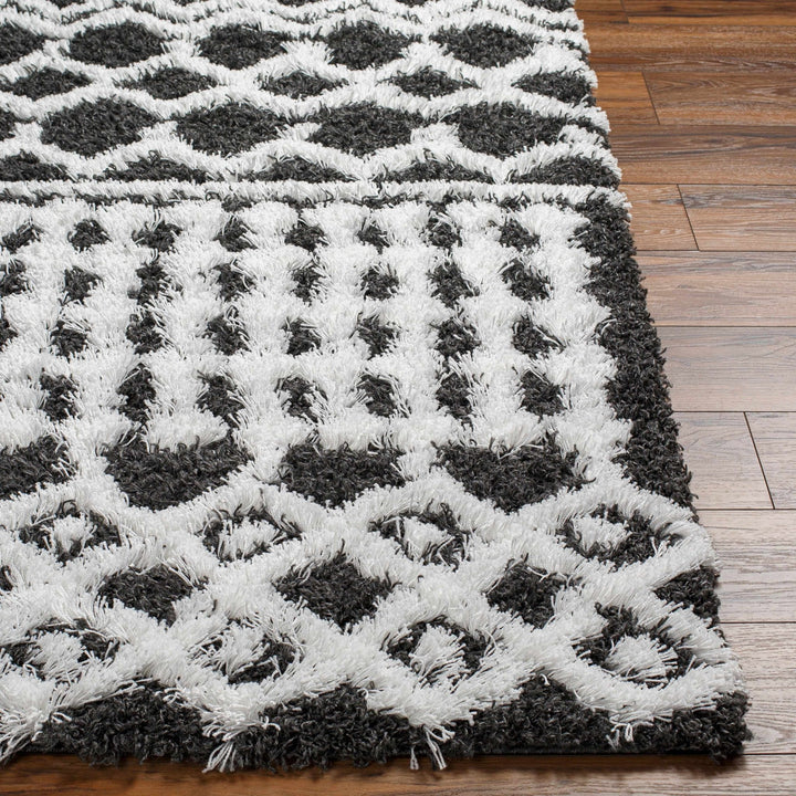 Bente Black And White Contemporary Area Rug - The Rug Decor