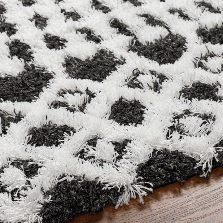 Bente Black And White Contemporary Area Rug