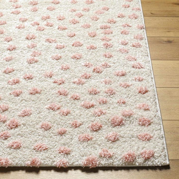 Bernt Pink And Beige Contemporary Style Area Rug - The Rug Decor
