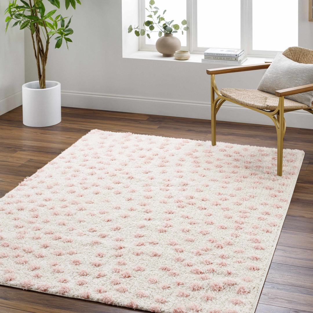 Bernt Pink And Beige Contemporary Style Area Rug - The Rug Decor
