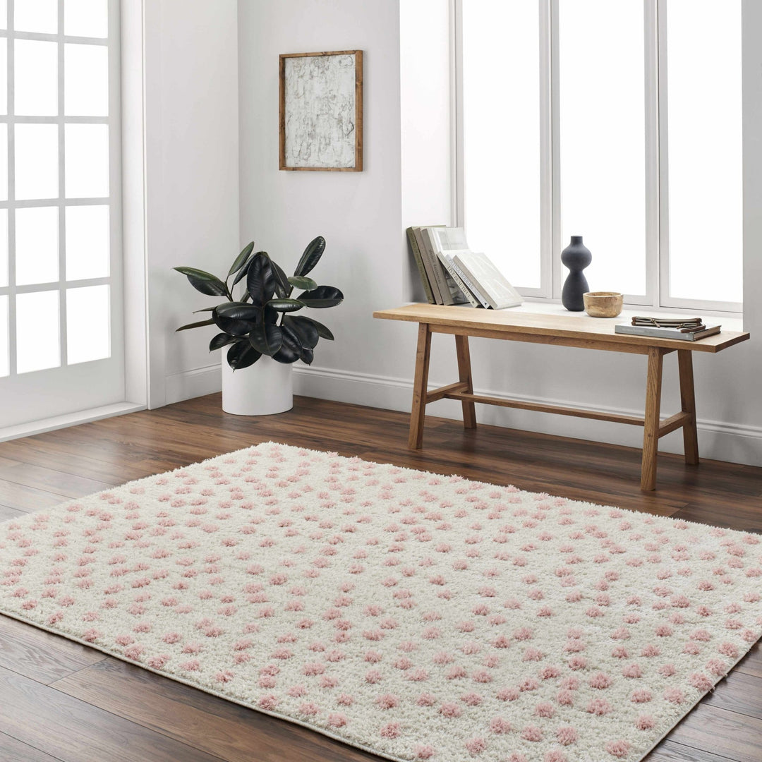 Bernt Pink And Beige Contemporary Style Area Rug - The Rug Decor