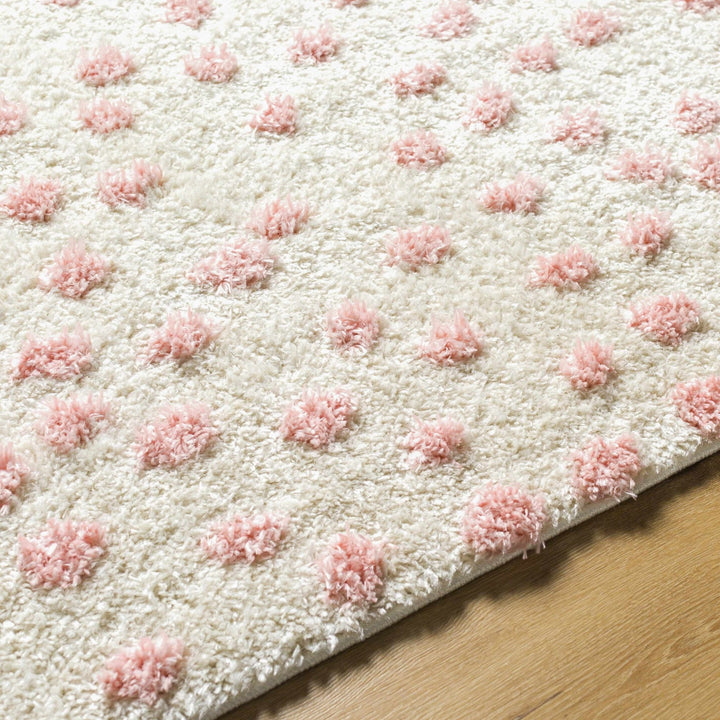 Bernt Pink And Beige Contemporary Style Area Rug - The Rug Decor