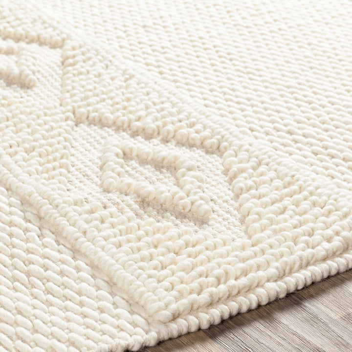 Bethlehem Ivory Modern Style Hand Woven Area Rug