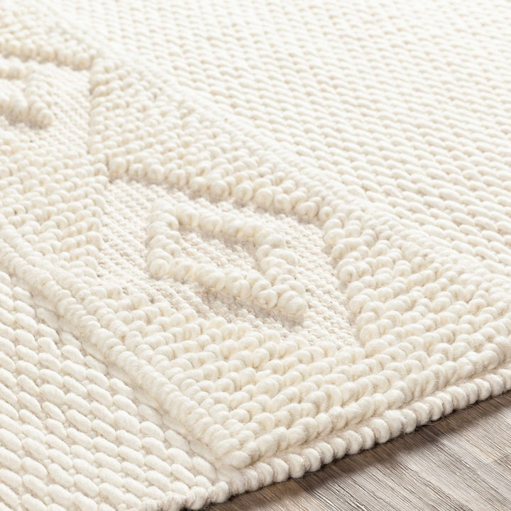 Bethlehem Ivory Modern Style Hand Woven Area Rug - The Rug Decor