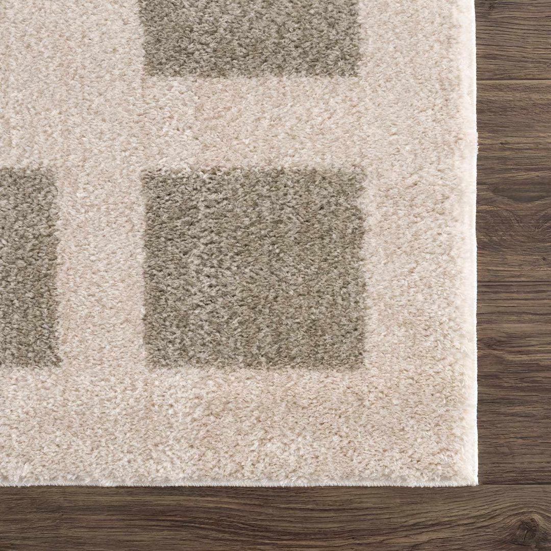 Beynon Contemporary Geometric Design Beige Washable Area Rug - The Rug Decor