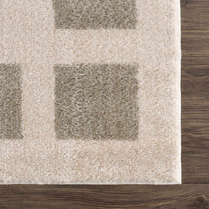 Beynon Contemporary Geometric Design Beige Washable Area Rug - The Rug Decor