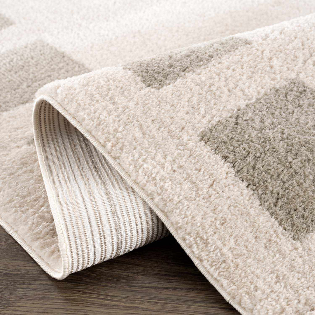 Beynon Contemporary Geometric Design Beige Washable Area Rug - The Rug Decor