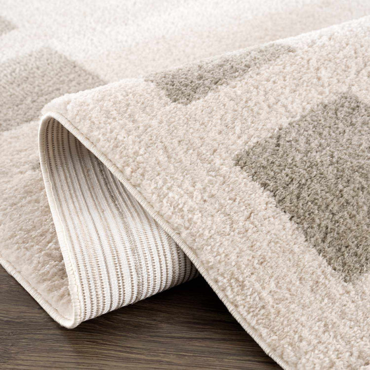 Beynon Contemporary Geometric Design Beige Washable Area Rug - The Rug Decor