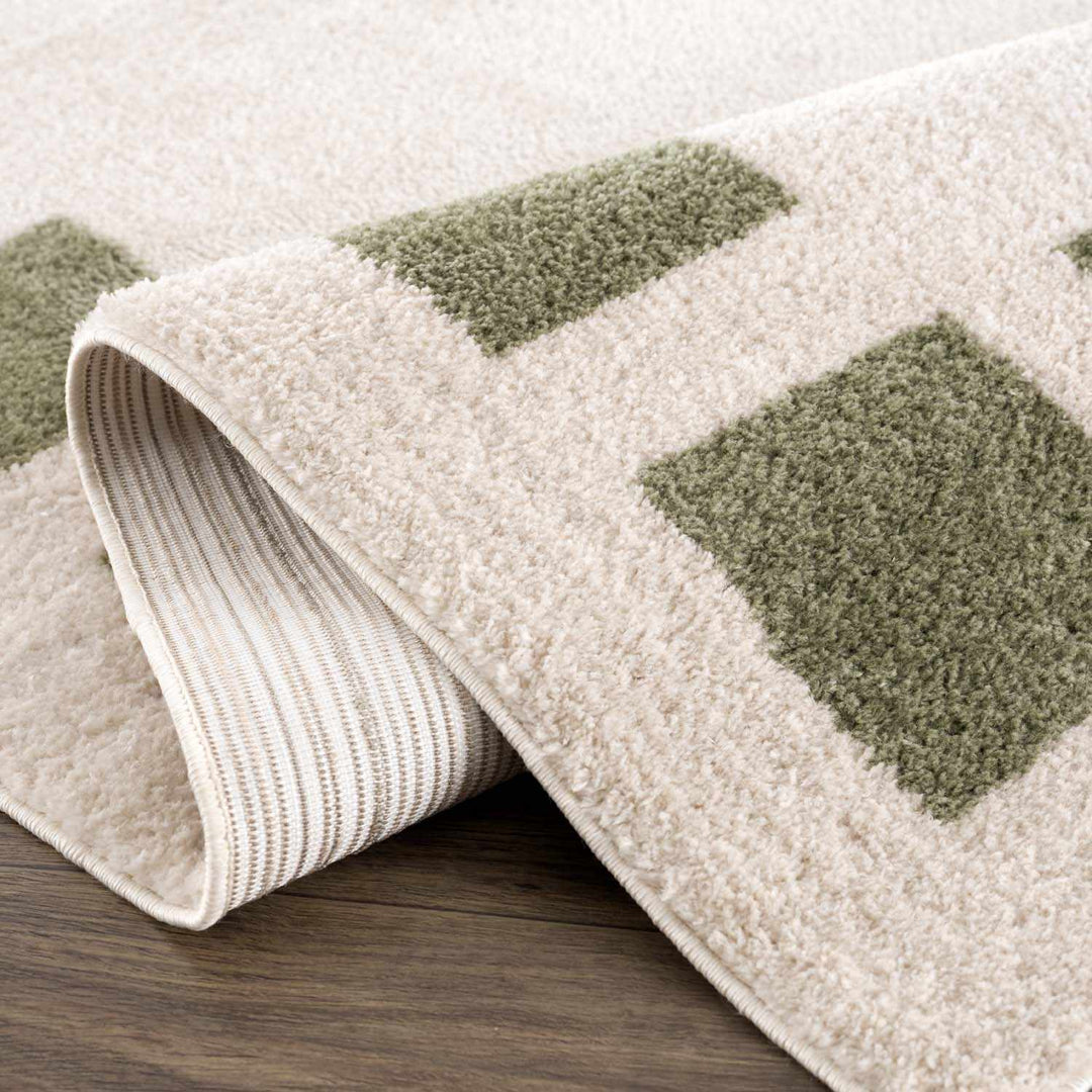 Beynon Modern Geometrical Beige And Green Area Rug - The Rug Decor