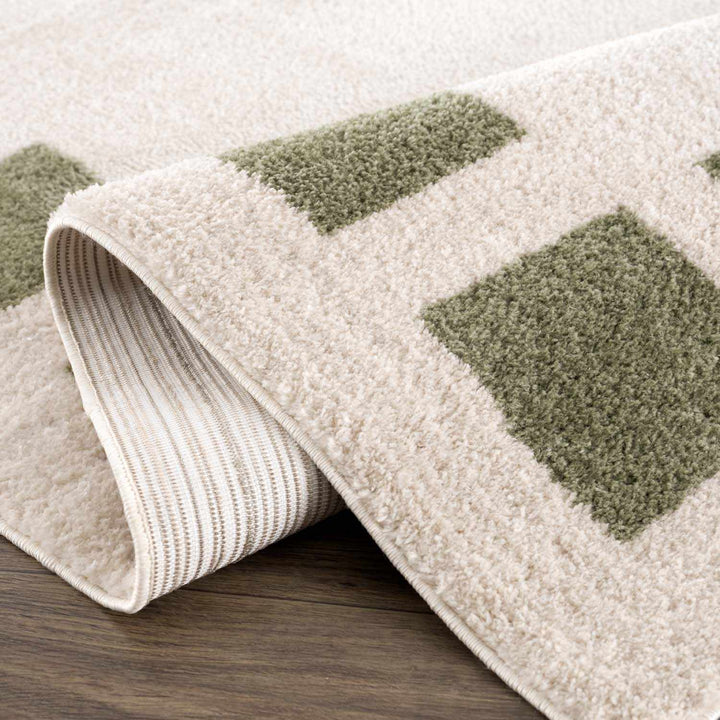 Beynon Modern Geometrical Beige And Green Area Rug - The Rug Decor