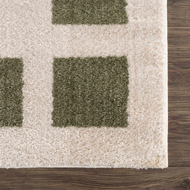Beynon Modern Geometrical Beige And Green Area Rug - The Rug Decor