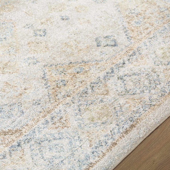 Bhavya Traditional Style Beige And Blue Washable Area Rug - The Rug Decor