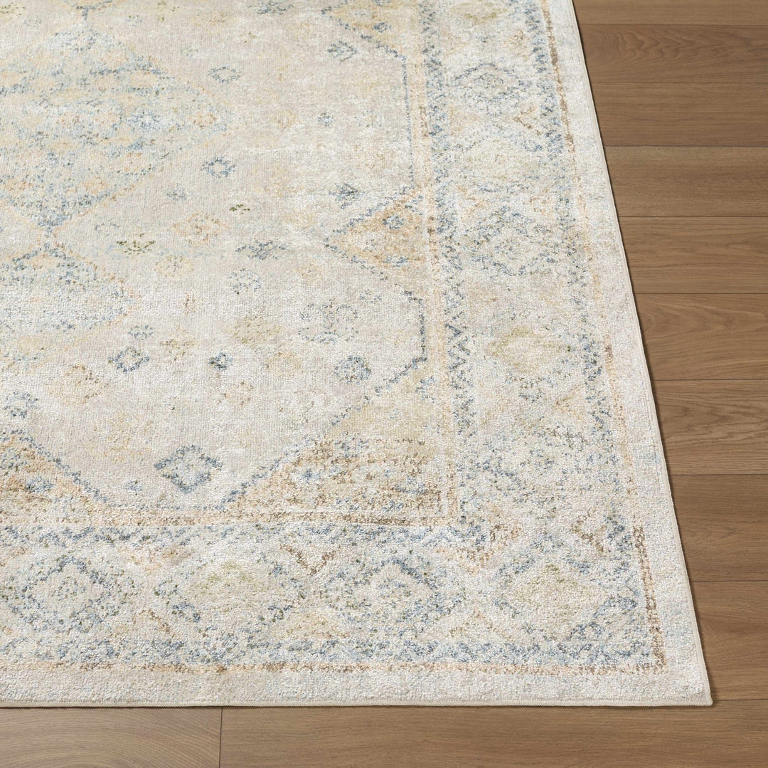 Bhavya Traditional Style Beige And Blue Washable Area Rug - The Rug Decor