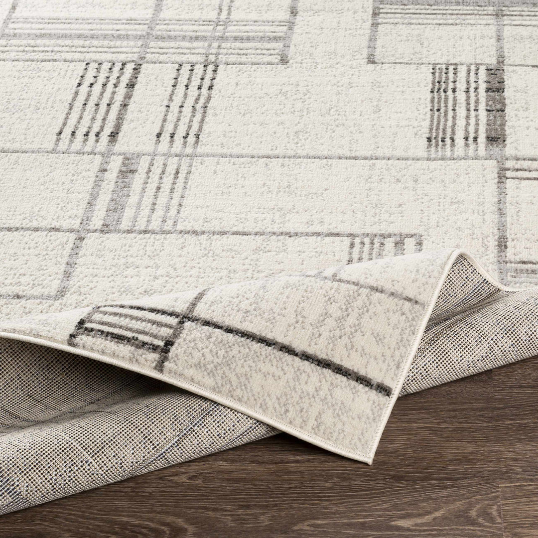 Bidwill Modern Style Ivory And Gray Area Rug