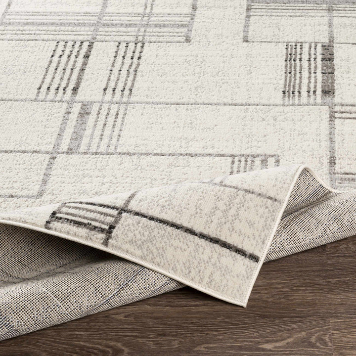 Bidwill Modern Style Ivory And Gray Area Rug