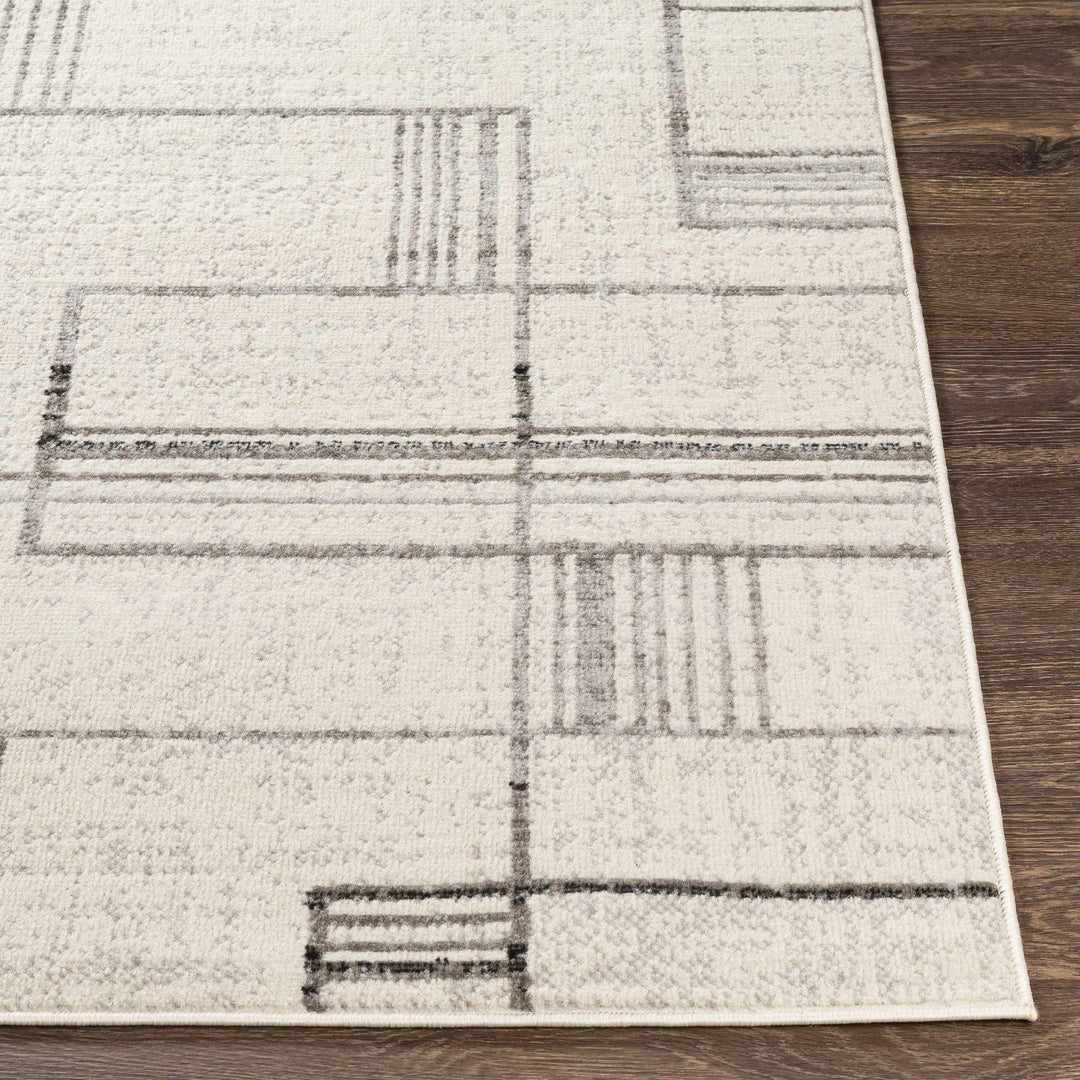 Bidwill Modern Style Ivory And Gray Area Rug