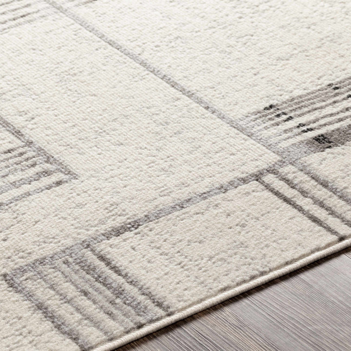 Bidwill Modern Style Ivory And Gray Area Rug