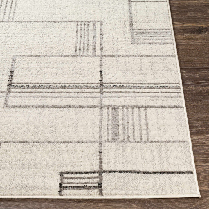 Bidwill Modern Style Ivory And Gray Area Rug - The Rug Decor