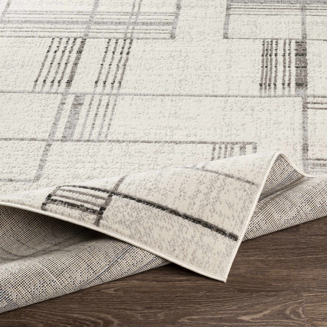 Bidwill Modern Style Ivory And Gray Area Rug - The Rug Decor