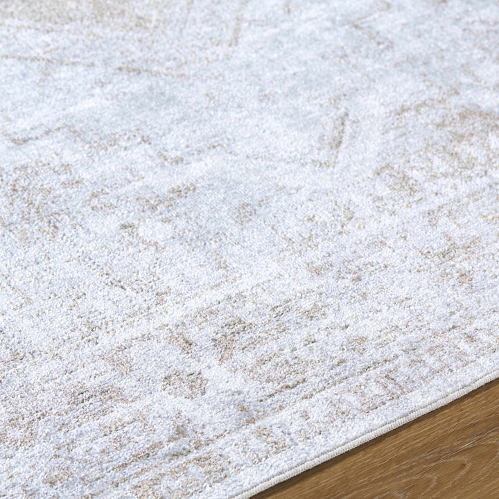 Bienne Traditional Style Ivory And Brown Washable Area Rug - The Rug Decor